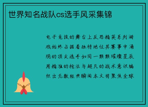 世界知名战队cs选手风采集锦
